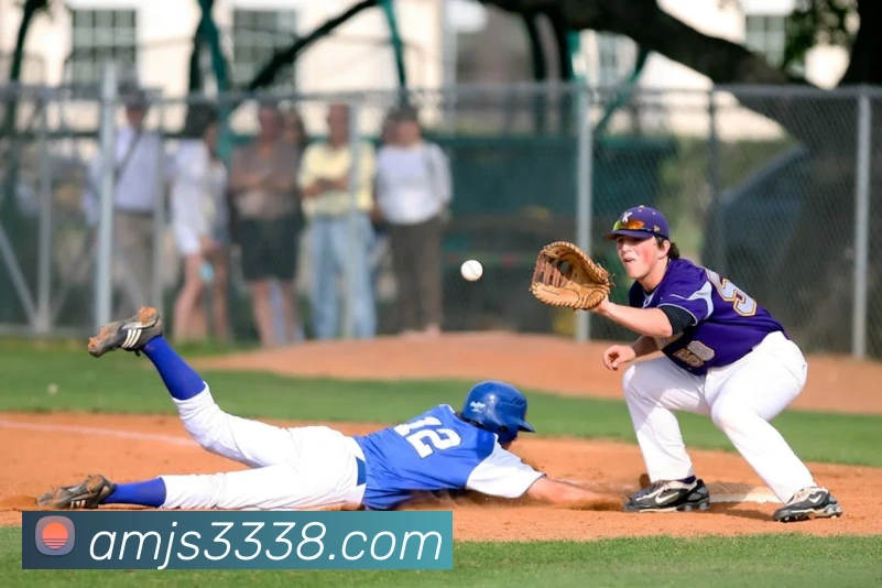 金沙集团平台生态图